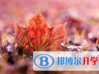 2021年宜賓中考的規則