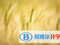 2021年宜賓中考報名學校