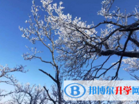 2021年資陽(yáng)中考成績(jī)查詢(xún)系