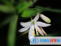 2021年資陽(yáng)中考成績(jī)查詢(xún)?nèi)肟? /><b>2021年資陽(yáng)中考成績(jī)查詢(xún)?nèi)肟?/b><span>2020-12-14 15:50</span><p>同學(xué)們可以在網(wǎng)上查詢(xún)成績(jī)。在中考錄取上面，每一所院校都會(huì)有自己的錄取標(biāo)準(zhǔn)。小編提醒不同批次的志愿錄取時(shí)間不一樣，當(dāng)然查詢(xún)</p></a></h3></li>
<li><h3><a href=