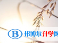 2021年宜賓中考報名服務平臺