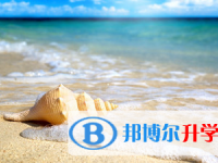 2021年宜賓中考報考學校名單