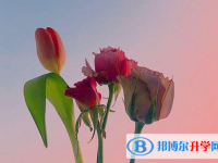 2021年廣元中考網上報名模擬