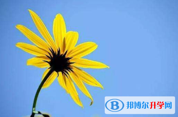 2021年廣元中考網上查詢