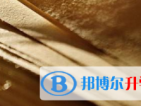 2021年宜賓中考志愿官網