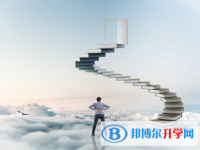 2021年資陽中考報考人數