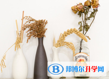 2021年資陽中考服務應用平臺