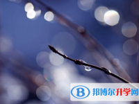 2021年資陽中考后如何錄取