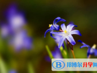 2021年資陽中考規則
