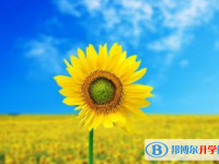 2021年廣元中考信息服務(wù)平臺(tái)