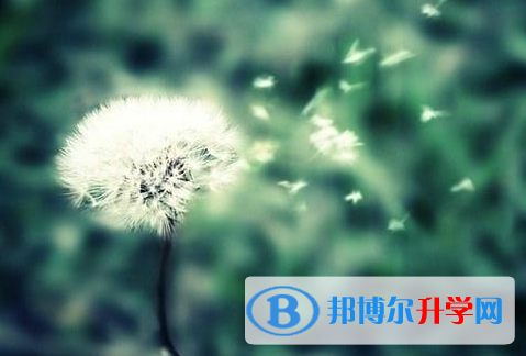 2021年阿壩中考填志愿統招和調劑