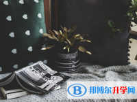 2021年阿壩中考升學錄取比例