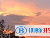 2021年宜賓中考統(tǒng)考成績
