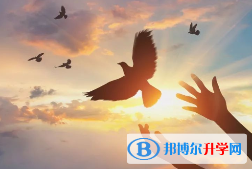 2021年甘孜中考后計劃