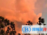 2021年宜賓中考報(bào)名網(wǎng)站是什么