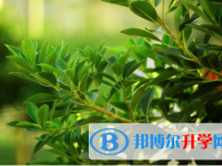 2021年渭南怎樣從網(wǎng)上查詢中考成績