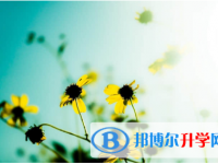 2021年渭南網(wǎng)上查詢中考成績怎么查詢