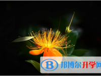 2021年渭南網(wǎng)上查詢中考成績