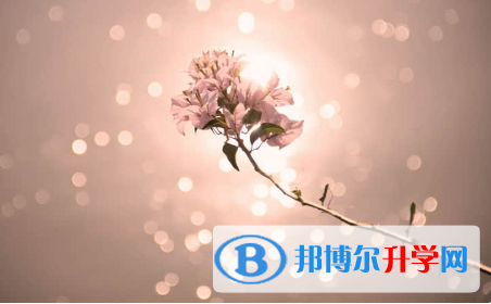 2021年渭南如何查詢中考錄取結(jié)果