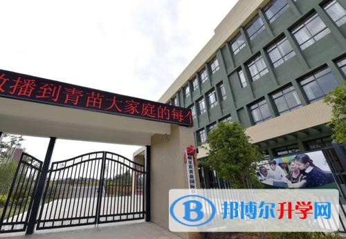 昆明呈貢青苗國際雙語學校2021年招生計劃