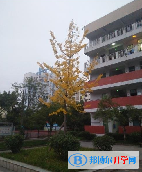 廣元市利州中學網站網址 