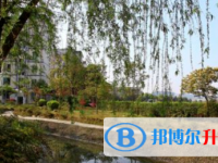 樂山市外國語學校2025年學費、收費多少