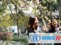 四川省犍為縣孝姑中學2025年招生代碼