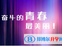 2021年渭南中考成績一般讀什么學校