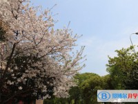 姚安縣第二高級中學網站網址主頁