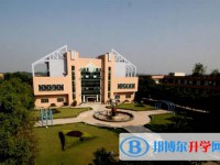 富順縣第二中學(xué)怎么樣、好不好