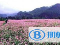 貴州開陽第四中學(xué)2025年宿舍條件