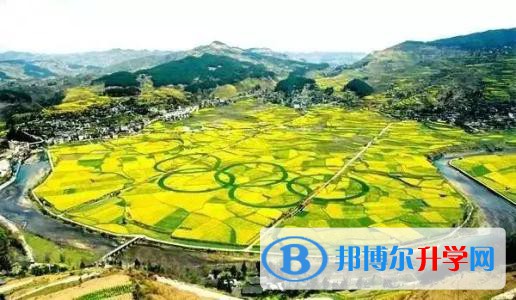 貴州開陽第四中學2022年網(wǎng)站網(wǎng)址