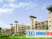 楚雄師院附中2025年報名條件、招生要求、招生對象