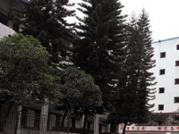 內(nèi)江市第十三中學(xué)2023年招生錄取分?jǐn)?shù)線