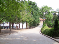 東興區(qū)第十二中學(xué)2023年招生錄取分?jǐn)?shù)線