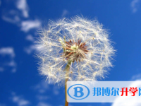 2021年渭南中考網(wǎng)絡(luò)應(yīng)用服務(wù)平臺(tái)成績(jī)查詢