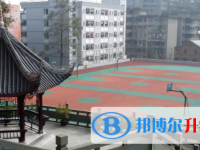 四川省樂山市草堂高級中學2025年招生代碼
