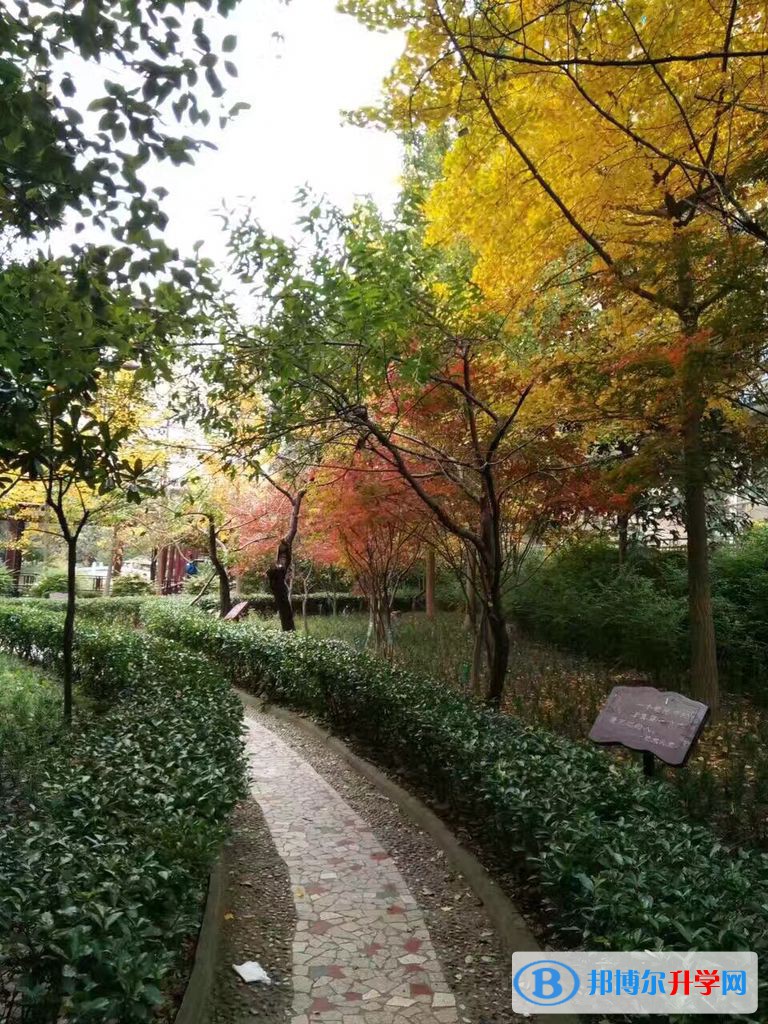 廣元市寶輪中學怎么樣、好不好