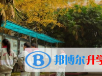 樂山新橋中學2025年招生簡章