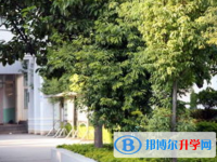 華坪縣一中網(wǎng)站網(wǎng)址主頁
