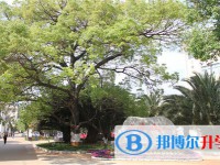 通?？h第三中學2021年招生簡章