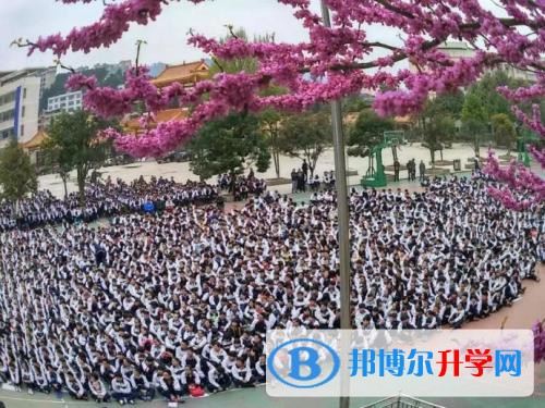 開陽縣第三中學網站網址是多少呢?對于同學們來說找到一個好的學校就是一個好的開始，就是成功了一大半，很多的同學們對于學校其實都是不了解的，所以，在找學校的時候都是先查詢學校的網址，小編來給同學們整理一下。  開陽縣第三中學網站網址 開陽縣第三中學網站網址：http://www.857m6r.cn/ukyxdszx/  開陽縣第三中學情況 辦學思想  該校辦“人民滿意的教育”、辦“人民受益的教育”的辦學理念得到認同，五優(教學設備優良、育人環境優美、學校管理優質、師資隊伍優秀、教學質量優異)三心(學生歡心、家長開心、領導放心)辦學目標得以實現，五會(學會做人、學會求知、學會生存、學會合作、學會發展)的育人目標完全達成。形成了團結、嚴謹、求實、奮進的校訓;形成了團結和諧、爭先創優的校風;形成了勤政、廉政、高效、創新的政風;形成了嚴謹、求實、開拓、創新的教風;形成了尊師愛校、品學兼優的學風。  基礎設施  學校占地35畝，學校現有一教、二教、內置設施一流的綜合教學大樓和實驗大樓及行政辦公大樓;有三個籃球場、一個室內體育室及正籌建中的后操場(含400m環形塑膠跑道);有資源豐富的多功能教室、圖書室、閱覽室、計算機教室。實施義務教育以來，學校辦學條件不斷改善。  學校現有三棟教學樓，一棟實驗樓，一棟教師辦公樓;有三個籃球場、有多功能教室兩間、圖書室一間(有圖書66560冊)、閱覽室一間、計算機教室兩間。學校已充分發揮它們的功能，全面提高教育教學質量。學校得到市縣政府支持，規劃待建寄宿制工程：250m環形塑膠跑道、學生宿舍、學生食堂，學校辦學條件將得到極大改善。  學校政策  2006年以來從農部分村學生享受“兩免一補”到2008年秋季全部享受“兩免一補”，使學生受教育得到普惠保障。  我們知道同學們自己在找學校的時候就習慣在網站上面去查詢資料，但是由于學校的網站的資料是很多的，小編覺得最好還是到學校來現場了解會比較好一點，現場了解的是更為詳細的哦。