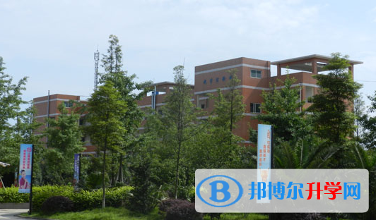 攀枝花市第七高級中學校網站網址