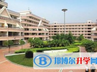 四川省綿陽中學2021年招生錄取分數線