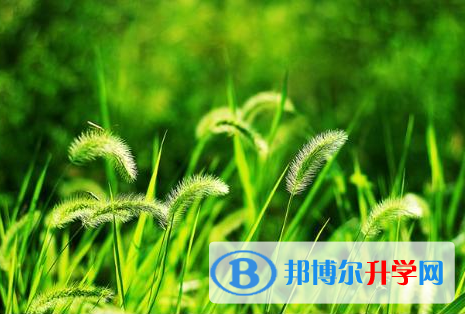 2021年渭南中考報考攻略