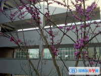 四川省興文第二中學(xué)校2025年招生簡章