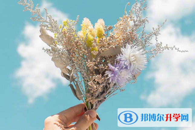2021年廣元中考網(wǎng)上報(bào)名