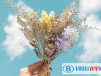 2021年廣元中考網上報名