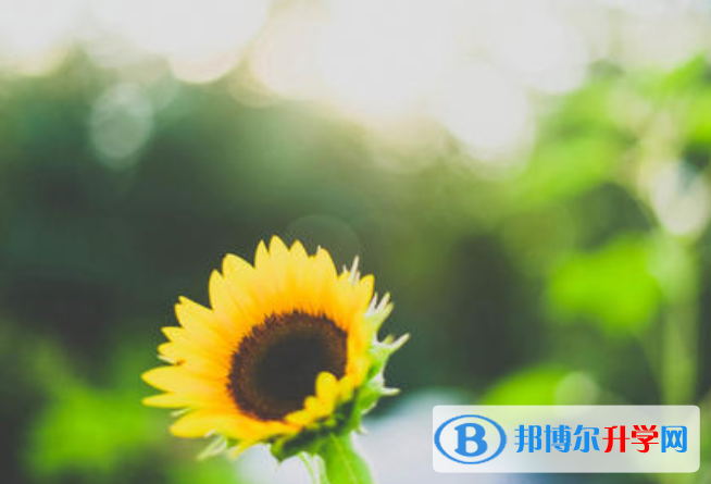 2021年廣元中考網(wǎng)絡(luò)應(yīng)用平臺