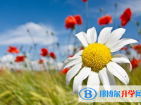 2021年攀枝花中考報(bào)名網(wǎng)站